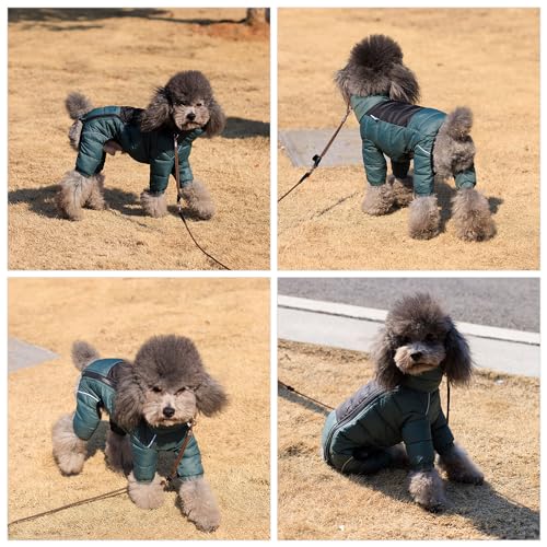 ArmyGreen Dog Jumper, Windproof, Reflective - Dirigible Winter Jacket for S, M, L - Zip, Adjustable Sizes - color: Armygreen, size: S (11inch Back)