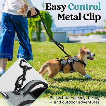 rabbitgoo Escape Proof Dog Harness, Soft Padded Full Body Pet Harness, Reflective Adjustable No Pull Vest with Lift Handle and Leash Clip for Large Dogs Walking Hiking Training, S, Grey - color: Grey, size: Small (Pack of 1)
