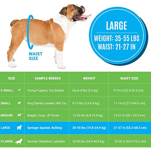 Bodhi Dog Disposable Male Dog Diapers - Super Absorbent, Leak-Proof Pee Wraps - Adjustable Fit, Comfortable Design, Advanced Moisture Control, and Wetness Indicator - Large (20 Count) - size: Large