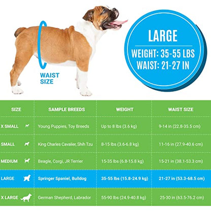 Bodhi Dog Disposable Male Dog Diapers - Super Absorbent, Leak-Proof Pee Wraps - Adjustable Fit, Comfortable Design, Advanced Moisture Control, and Wetness Indicator - Large (20 Count) - size: Large