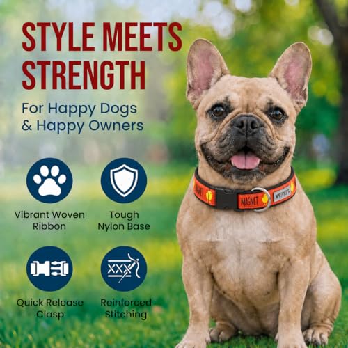 THE WORTHY DOG Spring Holiday Chick Magnet Dog Collar – Durable Nylon, Woven Ribbon, Quick-Release Buckle, Nickel D-Ring – Red, Medium - color: Chick Magnet - Red, size: Medium