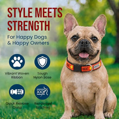 THE WORTHY DOG Spring Holiday Chick Magnet Dog Collar – Durable Nylon, Woven Ribbon, Quick-Release Buckle, Nickel D-Ring – Red, Medium - color: Chick Magnet - Red, size: Medium