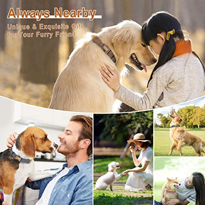Personalized Dog Collars for Medium Dogs, Custom Soft PU Leather Dog Collar with Engraved ID Name and Number, Adjustable & Durable Pet Collars with Quick Release Metal Buckle,M(13-21") - color: Eustoma Purple-Engraving, size: Medium: Fit 13-21" Neck