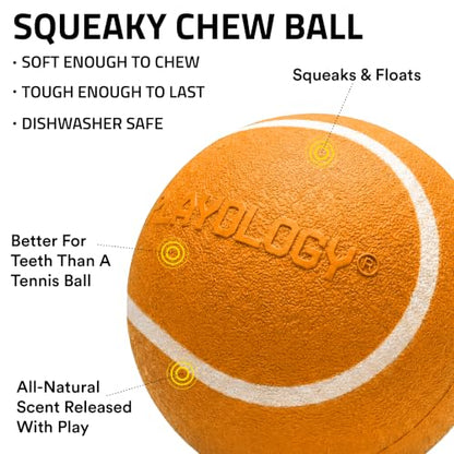Playology Dog Toys | Squeaky Chew Ball for Dogs| Cheddar Cheese Scented Medium Dog Ball | Bouncy Floating Dog Balls - size: Medium, style: Cheddar Cheese
