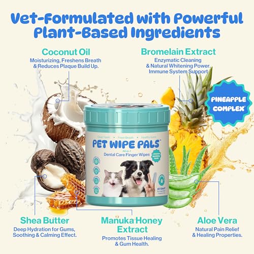 All-in-1 Dog Teeth Cleaning Wipes | Enzymatic Whitening + Micro Scrubbing Beads | Pet Dental Wipes & Finger Tooth Brushing Kit | Plant-Based Dental Care for Cats & Dogs (60 Count)