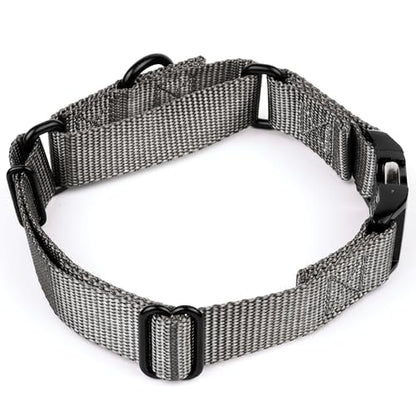 Country Brook Petz - Martingale Dog Collar - Heavy Duty Nylon Adjustable Martingale Dog Collar with Premium Buckle for Small Medium Large Breeds (5/8 Inch, Extra Small, Charcoal) - color: Charcoal, size: Extra Small (Pack of 1)