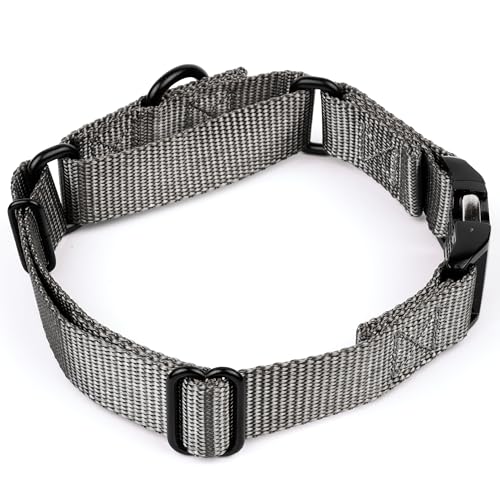 Country Brook Petz - Martingale Dog Collar - Heavy Duty Nylon Adjustable Martingale Dog Collar with Premium Buckle for Small Medium Large Breeds (1 Inch, Extra Large, Charcoal) - color: Charcoal, size: Extra Large (Pack of 1)
