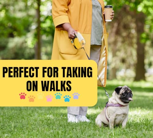 Buddy 3m (9.8 ft) Retractable Dog Leash with Flashlight | Ergonomic Grip | Waste Bag Holder | Durable Nylon