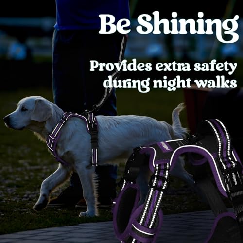 rabbitgoo Dog Harness Small Sized, No Pull Easy On & Off with 3 Buckles Pet Harness, Adjustable Soft Walking Vest with 2 Clips and Handle, Reflective for Small Dogs, Black & Purple, S - color: Black & Purple, size: Small