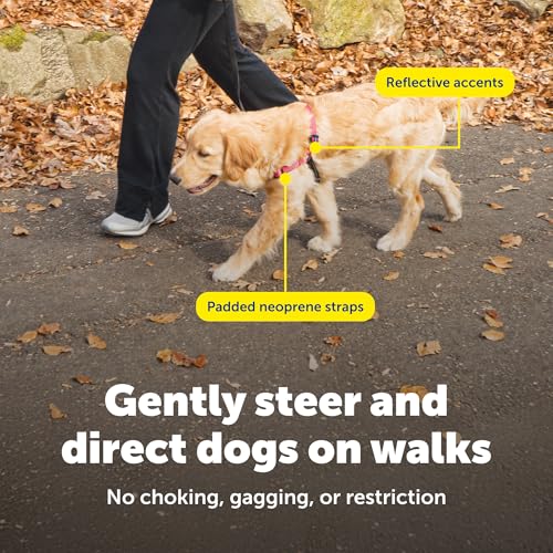 Petsafe Deluxe Easy Walk Harness, Large, Rose Pink, EWH-D-HC-L-RSE - color: Rose Red, size: Large (Pack of 1)