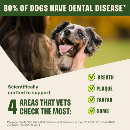 Wellness WHIMZEES Puppy Natural Dog Dental Treat, Chews, Freshens Breath, Medium/Large Size, 7.9 oz Bag, 14 Count - size: 7.4 ounce (Pack of 1)