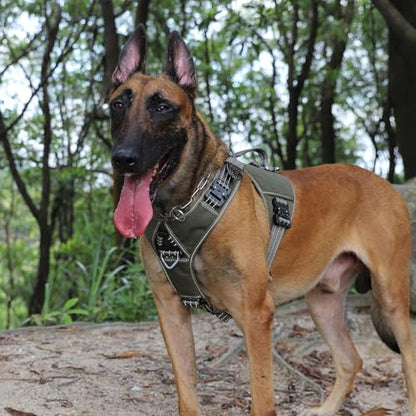 ICEFANG GN8 Tactical Dog Harness with 4X Metal Buckles for X-Large Sized Dogs,Reflective in Training Walking K9 Dog Vest,No-Pull Front Leash Clip,Adjustable Pet Harness (Green, X-Large (Pack of 1)) - color: Green, size: X-Large (Pack of 1)