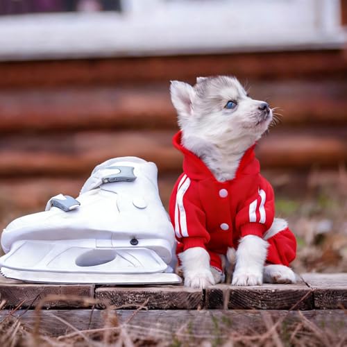 Soft & Warm Dog Outfit - Pullover Hoodie & Sweatshirt for Small, Medium & Large Dogs (Red, XX-Small) - color: Red, size: XX-Small