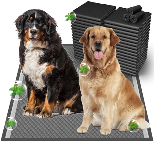 37"x54" Activated Charcoal Dog Pee Pads - 32 Count, Extra Large, Super Absorbent, Leakproof, Long-Lasting Odor Control - Essential Pet Training Pads for Large Dogs - size: 37"x54"