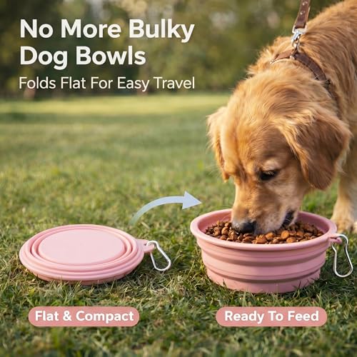 Collapsible Dog Bowls 2-Pack, Portable Travel Dog Bowl with Carabiner, Food-Grade BPA-Free Silicone Pet Food & Water Bowl for Dogs & Cats, Hiking Walking Camping (Purple and Mint Green) - color: Purple and mint green