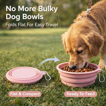 Collapsible Dog Bowls 2-Pack, Portable Travel Dog Bowl with Carabiner, Food-Grade BPA-Free Silicone Pet Food & Water Bowl for Dogs & Cats, Hiking Walking Camping (Purple and Mint Green) - color: Purple and mint green