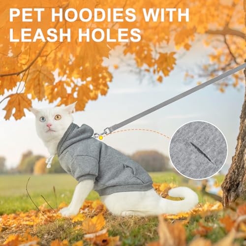BEAUTYZOO Dog Hoodie & Cat Sweater for Small Dogs Puppy Girls Boys, Fleece Lined Warm Winter Fall Dog Clothes with Leash Hole and Pocket, Ultra-Soft Pet Jacket Coats Kitten Clothing, Grey L - color: Grey, size: L (Chest: 19", Neck: 12", Back: 14")