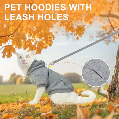 BEAUTYZOO Dog Hoodie & Cat Sweater for Small Dogs Puppy Girls Boys, Fleece Lined Warm Winter Fall Dog Clothes with Leash Hole and Pocket, Ultra-Soft Pet Jacket Coats Kitten Clothing, Grey L - color: Grey, size: L (Chest: 19", Neck: 12", Back: 14")