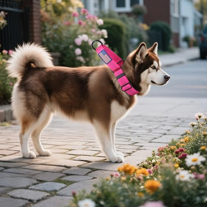 Martingale Dog Collar Quick Release Buckle No Pull Reflective Non-Slip for Medium Large Dogs Training (Pink, Large) - color: Pink, size: Large (Pack of 1)