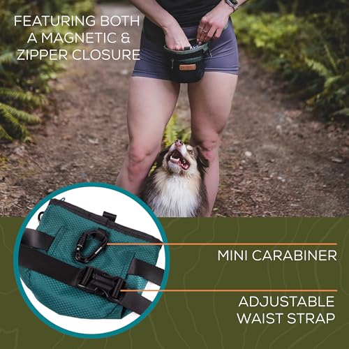 Wilderdog Dog Training Treat Pouch with Magnetic and Zipper Closure, Carabiner Attached, Adjustable Waist Strap - Black - color: Black