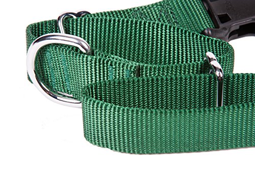 GOGO Pet Products 1-Inch Martingale Dog Collar, Large, Hunter Green - color: Hunter Green, size: Large (1" web width)