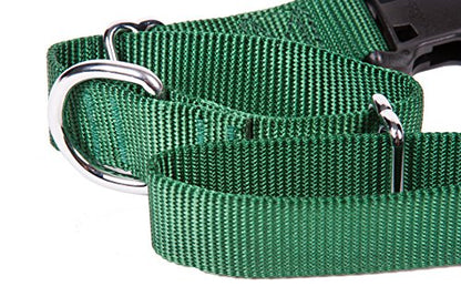 GOGO Pet Products 1-Inch Martingale Dog Collar, Large, Hunter Green - color: Hunter Green, size: Large (1" web width)