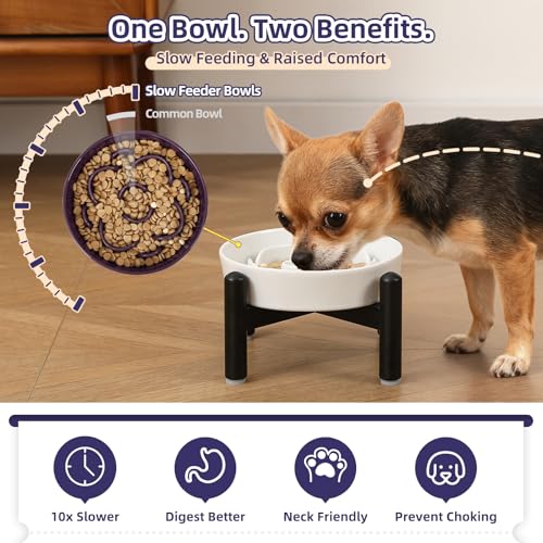Elevated Slow Feeder Dog Bowl, 0.8 Cups Ceramic Raised Slow Feeder with Stainless Stand, 6.3 Inch Wide Lifted Dog Bowl for Small Breeds to Control Eating Speed, Pink - color: Pink, size: Small with Stand