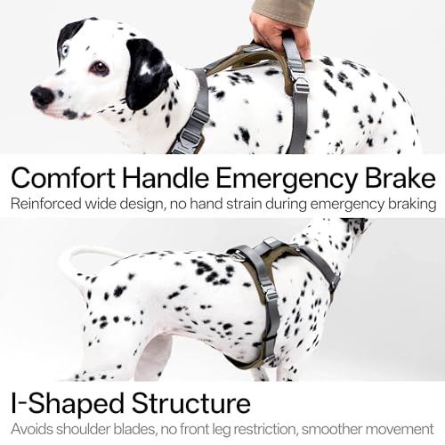 Dog Harness Heavy Duty No Pull Dog Harness with Handle, QR Code Anti-Loss Alloy Buckle Adjustable Nylon Dog Vest Control Harness for Medium Large Dogs Walking Training (Vivid Red, L) - color: Vivid Red, size: L