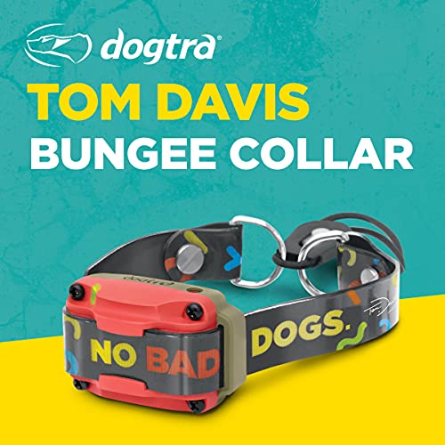 Dogtra Tom Davis Bungee Collar Comfortable Easy Fit Compatible with Tom Davis Edition 280C Dog Training E-Collar 3/4" Inch Strap Receivers - color: Bungee Strap Only - Black