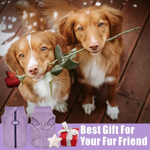 Idepet Dog Fleece Vest Sweater Zip Up Warm Pullover Dogs Jacket with D-Ring Leash Winter Cold Weater Coat Pet Sweatershirt Clothes Hoodie for Small Medium Dogs Boy Girl (Purple, XS) - color: Purple, size: XS