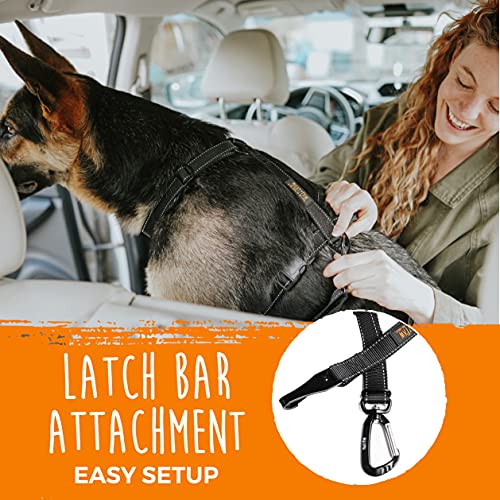 Mighty Paw Dog Seat Belt For Car - LATCH Compatible Adjustable Dog Seatbelt Harness for Small, Medium and Large Pets. Distraction Free Driving, Heavy-Duty Design with Aviation Grade Aluminum Carabiner - style: Latch Bar Attachment