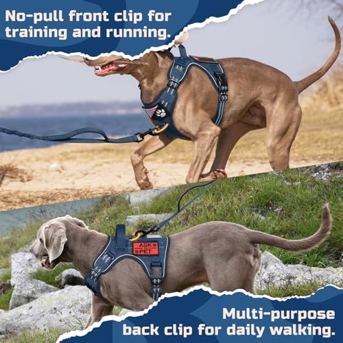 rabbitgoo Dog Harness No Pull, Military Dog Harness Medium Sized Dog with Handle & Molle, Easy Control Service Dog Vest Harness Training Walking, Adjustable Reflective Tactical Pet Harness, Blue, M - color: Blue, size: Medium
