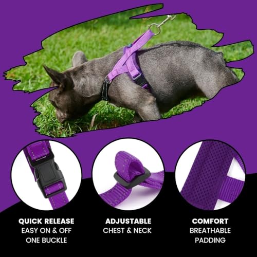 No Pull Dog Harness with Handle, Rear & Front Clip, Adjustable, Easy On/Off, Reflective, Lightweight & Mesh Padded, No Choke. Dog Harness Small Sized Dog (Purple-Black, Small) - color: Purple-Black, size: Small