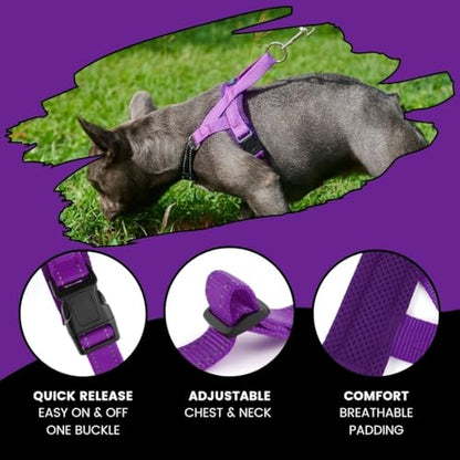 No Pull Dog Harness with Handle, Rear & Front Clip, Adjustable, Easy On/Off, Reflective, Lightweight & Mesh Padded, No Choke. Dog Harness Small Sized Dog (Purple-Black, Small) - color: Purple-Black, size: Small