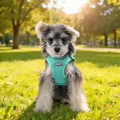 Dog Harness Small Sized and Leash Set, Step in Soft Light Puppy Vest, Breathable Mesh Pet Harness, Reflective for Safe Easy Walking. - color: Blue, size: Large (Pack of 1)