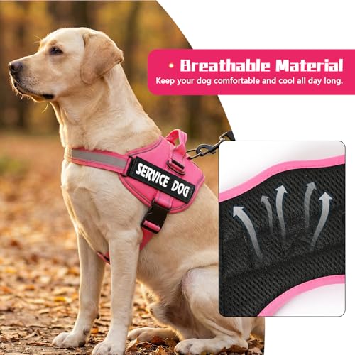 MUMUPET Service Dog Harness, No Pull Reflective Adjustable with Handle, Soft Breathable Padding for Small Dogs, 2 Removable Velcro Patches (Hot Pink, S) - color: HotPink, size: Small