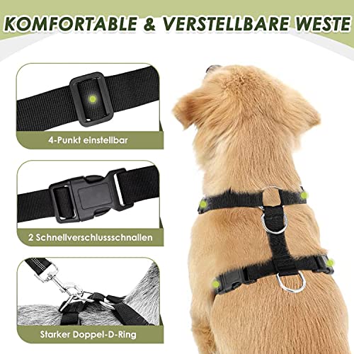 Lukovee Dog Car Harness Seat Belt, Adjustable Mesh Breathable Vest with Elastic Bungee Tether, Soft Padded 2-in-1 Safety Car Harness Seatbelt for Small Medium Large Dogs (Blue,XS) - color: Blue, size: X-Small