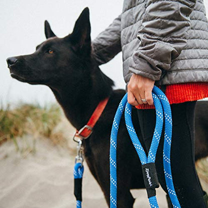 ZippyPaws Zp322 Climbers Rope Leash Original 6 Ft - Green Dog Lead - color: Green, size: 6 Feet
