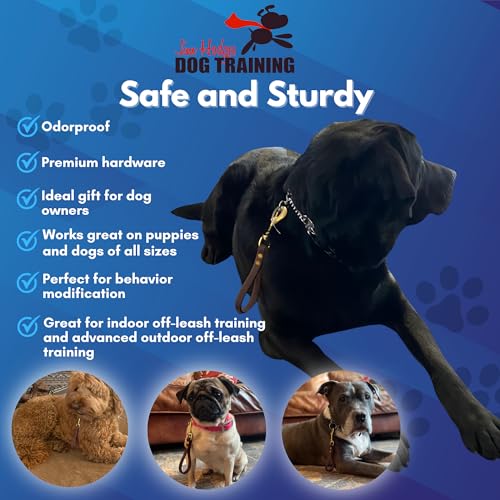 Biothane Training Tab Leash for Dogs, Brass Hardware, No Pull with Easy Grip Handle, Made in The USA, Professional Grade-Brown - color: Brown