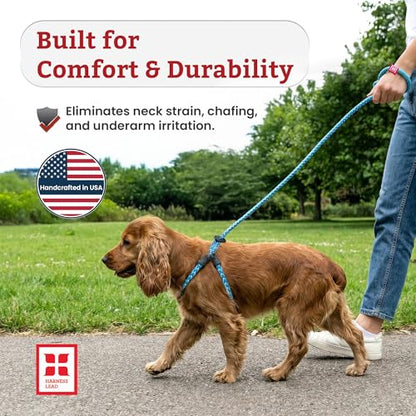 Harness Lead No Pull Dog Harness and Leash Set, Anti Pull Dog Harness, One-Piece Cushioned Rope Safely Prevents Escaping and Pulling (Medium/Large, Rainforest) - color: Rainforest (Olive/Lime/Turquoise)