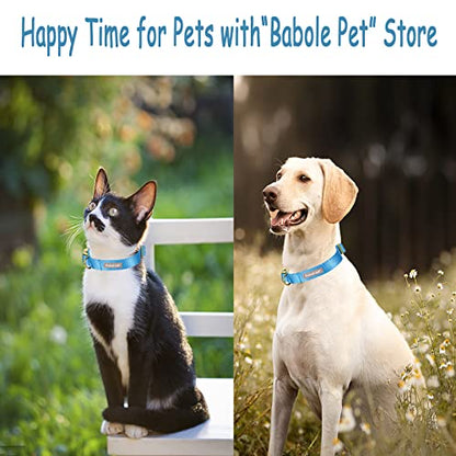 Nylon Dog Collar - Adjustable Blue Soft Webbing Dog Collars for Small Medium Large Dogs Boy Girl Puppy Collar with Safety Metal Buckle XS - color: Nylon-Blue, size: XS