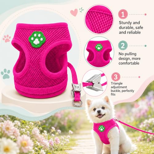 Dog Harness Small Sized and Leash Set, Step in Soft Light Puppy Vest, Breathable Mesh Pet Harness, Adjustable Pet Puppy Harness, Easy Walk Dog Harness, M: Chest 11.8-17.7" - color: Pink, size: M: Chest 11.8-17.7" Leash 3.8 FT