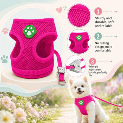 Dog Harness Small Sized and Leash Set, Step in Soft Light Puppy Vest, Breathable Mesh Pet Harness, Adjustable Pet Puppy Harness, Easy Walk Dog Harness, M: Chest 11.8-17.7" - color: Pink, size: M: Chest 11.8-17.7" Leash 3.8 FT