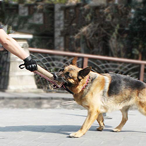 MoonyLI Dog Training Stick,Dog Bite Tug Toy with 2 Handles,Nature Linen Bite-Resistant Dog Toys Interactive Toys for Medium to Large Dogs by Bull Fit Dog Training Toys