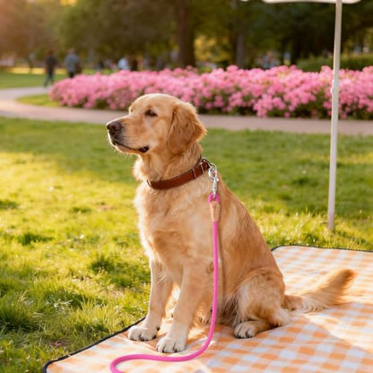 Mile High Life Dog Leash, Rope Leash with Genuine Leather Connection and Heavy Duty Metal Clasp, Great for Small Medium Large Dogs(Hot Pink,48 Inch) - color: Rope Handle-Hot Pink, size: 48 Inch-1/2"