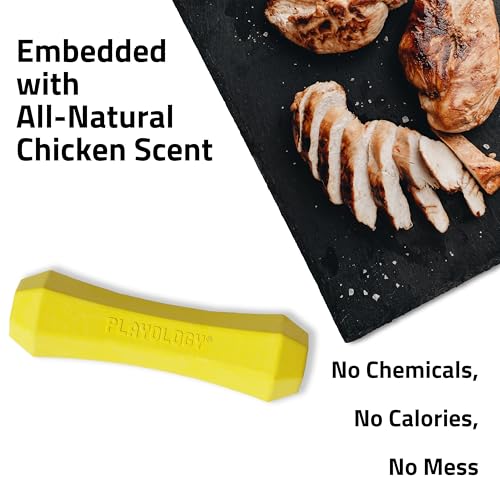 Playology Dog Toys | Squeaky Chew Stick for Large Dogs | Chicken Scented Jumbo Fetch Toy | Squeaky Dog Chew Toy - size: Jumbo, style: Chicken