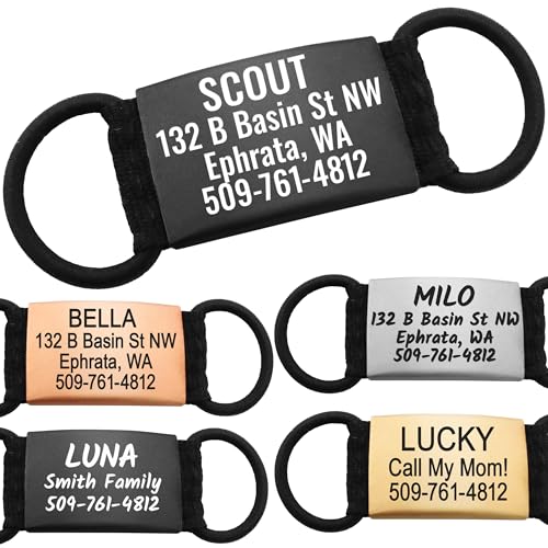 GoTags Silent Personalized Engraved Pet ID Dog and Cat Tags, Jingle Free Quiet Custom Name Tags (Rose Gold, Medium) - color: Rose Gold, size: Medium (Pack of 1)