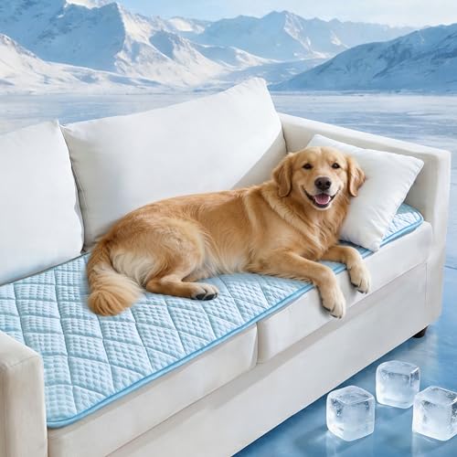 PPOLCA Waterproof Cooling Couch Protector for Dogs - Q-MAX>0.5, Thin Memory Foam Kennel Dog Crate Bed, Portable Non-Slip & Machine Washable Dog Pad for Indoor & Outdoor 28x59, Light Blue - color: Light Blue, size: 28*59