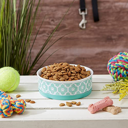 Bone Dry Lattice Collection Pet Bowl & Canister, Single Dish, Medium 6x2", Aqua - color: Aqua, size: Medium Single Dish, 6x2"