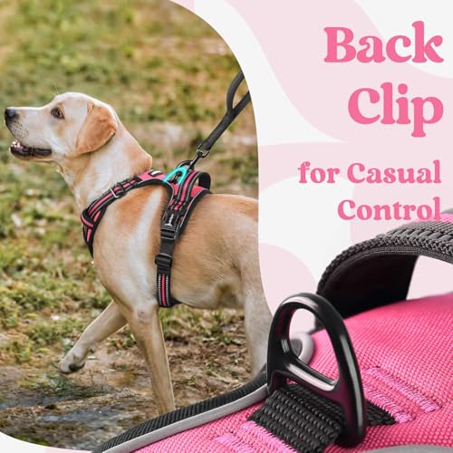 rabbitgoo Dog Harness Small Sized, No Pull Easy On & Off with 3 Buckles Pet Harness, Adjustable Soft Walking Vest with 2 Clips and Handle, Reflective for Small Dogs, Rose Pink, S - color: Rose Pink, size: Small